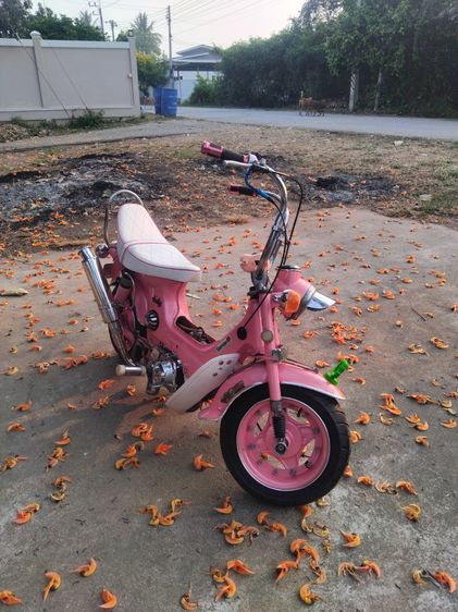 รถชาลี รูปที่ 4