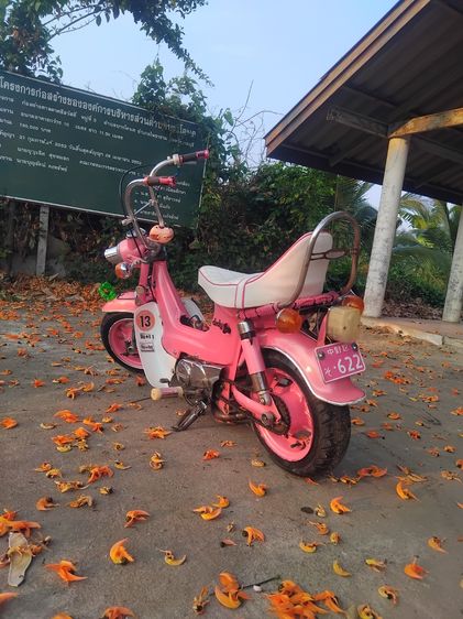 รถชาลี รูปที่ 2