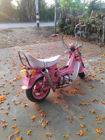 รถชาลี รูปที่ 3