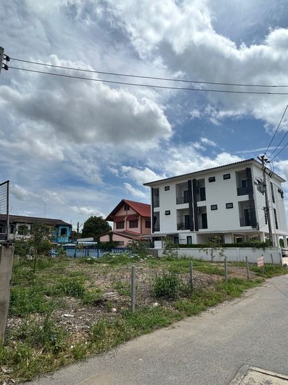 ที่ดินอ่างทอง รูปที่ 4