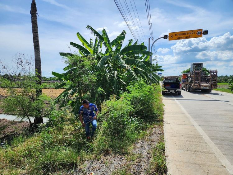 ขายที่ดินทำเลทอง 9 ไร่เศษ ใกล้ ดูบัวคาเฟ่ (Dubua Cafe) เพียง 1 กม. นครชัยศรี นครปฐม เหมาะลงทุนทำธุรกิจและพักผ่อน รูปที่ 2