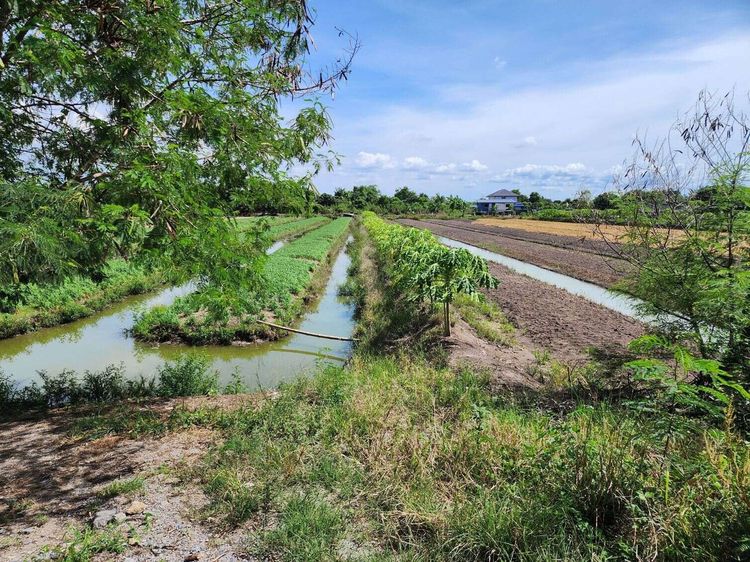 ขายที่ดินทำเลทอง 9 ไร่เศษ ใกล้ ดูบัวคาเฟ่ (Dubua Cafe) เพียง 1 กม. นครชัยศรี นครปฐม เหมาะลงทุนทำธุรกิจและพักผ่อน รูปที่ 3