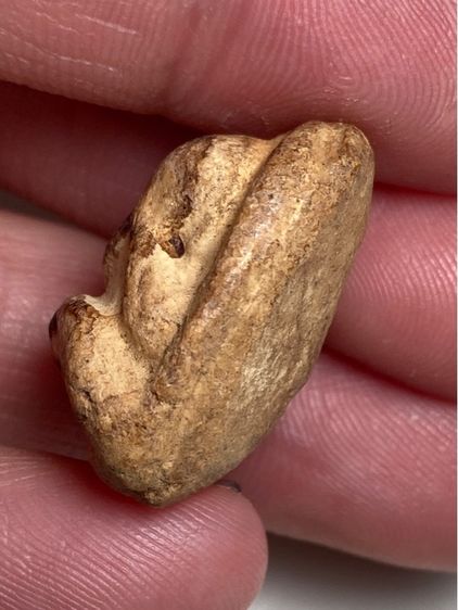 พระปิดตาเนื้อผง รูปที่ 4