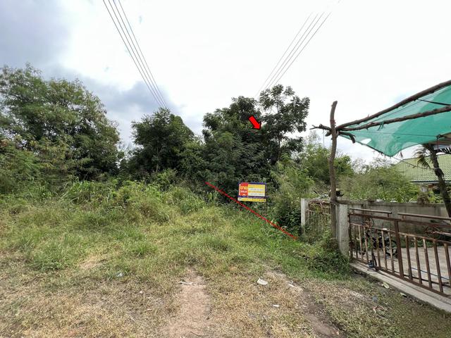 āđāļāđ ð āļāļĩāđāļāļīāļāđāļāļĨāđāļē āđāļāļĢāļāļāļēāļĢāļāđāļēāļāļāļļāļāļĪāļĐāļāđ āļāļąāļĒāļāļēāļ ð āļĢāļđāļāļāļĩāđ 3