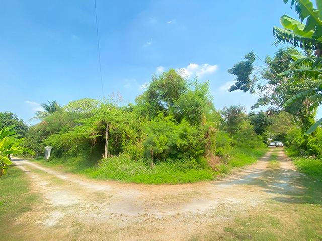 ใช่ 💟 ที่ดินเปล่า จรัญสนิทวงศ์ 31 💟 รูปที่ 4