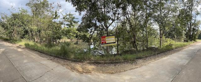 ใช่ 💟 ที่ดินเปล่า โครงการบ้านไร่ริมธาร ลำพูน 💟 รูปที่ 4