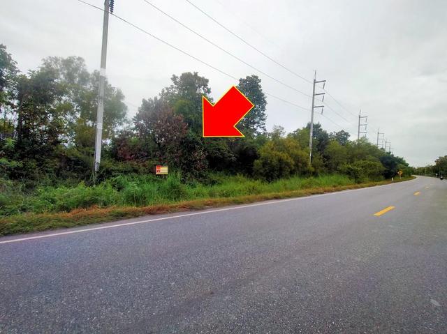 💟 ที่ดินเปล่า มหาสารคาม 💟 รูปที่ 2