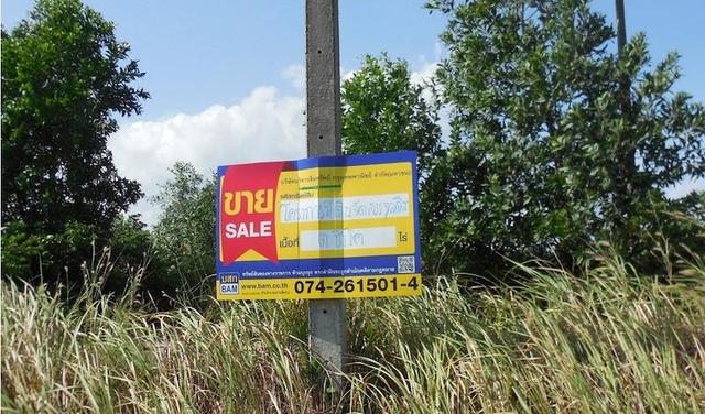 ใช่ 💟 ที่ดินเปล่า โครงการจุลดิศ สงขลา 💟 รูปที่ 4