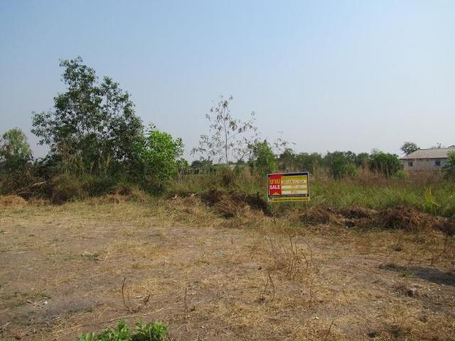 ใช่ 💟 ที่ดินเปล่า โครงการพัชรินทร์ พาร์คซิตี้ อุดรธานี 💟 รูปที่ 3