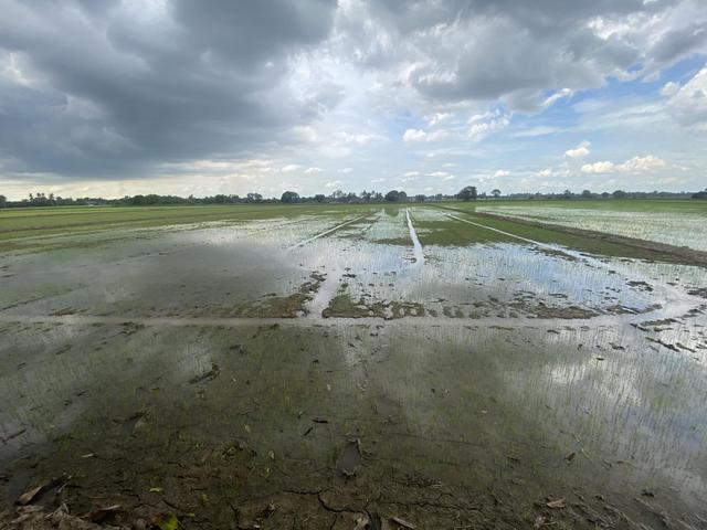 ใช่ 💟 ที่ดินเปล่า บางระจัน สิงห์บุรี 💟 รูปที่ 4