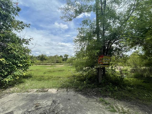 💟 ที่ดินเปล่า โครงการร่มฉัตรภูวิว ลำพูน 💟