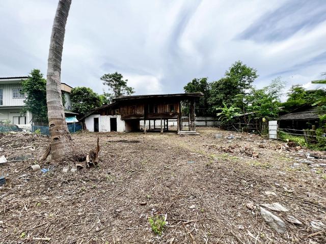 ใช่ 💟 บ้านเดี่ยวชั้นเดียว โครงการหนองแสะ สันกำแพง เชียงใหม่ 💟 รูปที่ 4