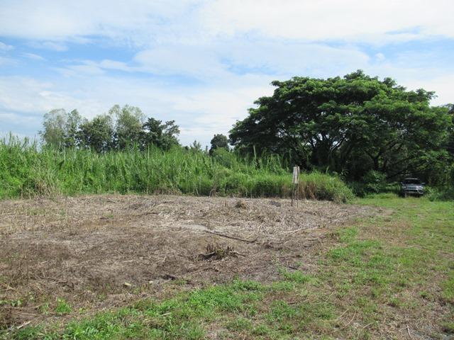 ใช่ 💟 ที่ดินเปล่า โครงการเลควู๊ดฮิลล์ เชียงใหม่ 💟 รูปที่ 4