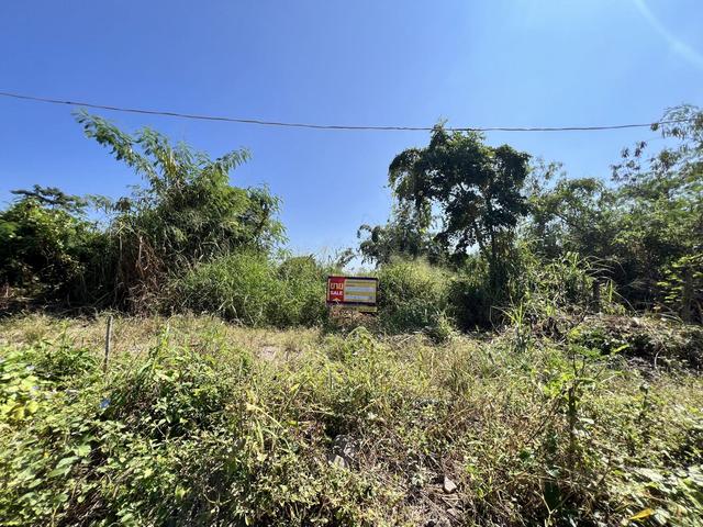 ใช่ 💟 ที่ดินเปล่า โครงการสิรีทิพย์ เชียงใหม่ 💟