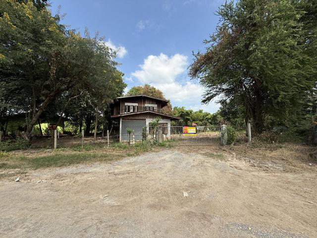 ใช่ 💟 บ้านเดี่ยว สามชุก 💟