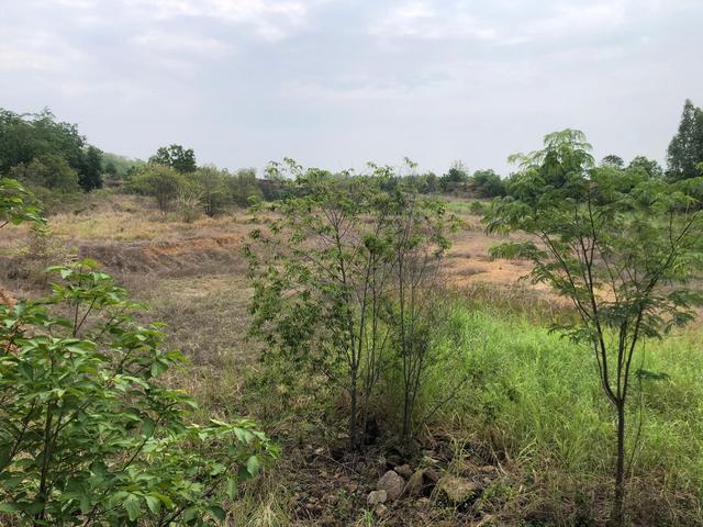 ใช่ 💟 ที่ดินเปล่า บรรพตพิสัย นครสวรรค์ 💟 รูปที่ 4