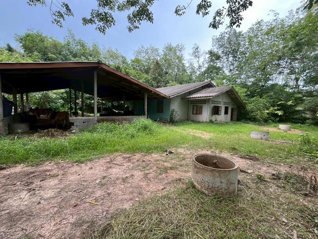 ใช่ 💟 บ้านพักอาศัยเดี่ยวชั้นเดียว นครศรีธรรมราช 💟 รูปที่ 2