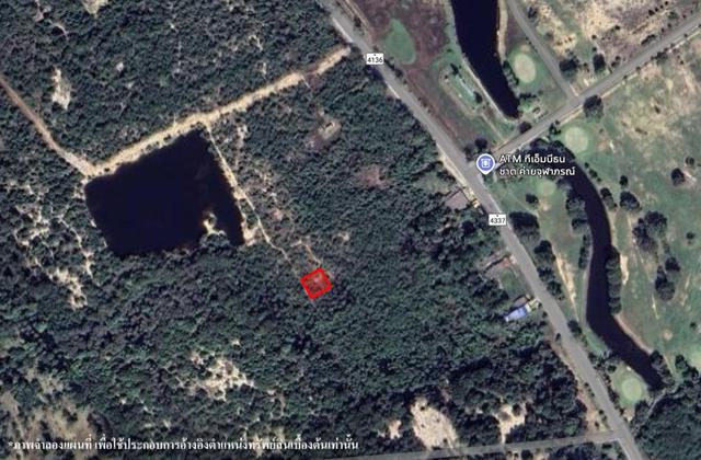 ใช่ 💟 ที่ดินเปล่า นราธิวาส 💟 รูปที่ 2