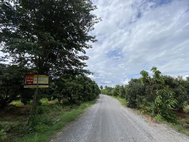 💟 ที่ดินเปล่า ลำพูน 💟