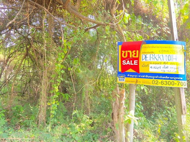 āđāļāđ ð āļāļĩāđāļāļīāļāđāļāļĨāđāļē āļāļĢāļąāļāļŠāļāļīāļāļ§āļāļĻāđ 31 ð āļĢāļđāļāļāļĩāđ 2