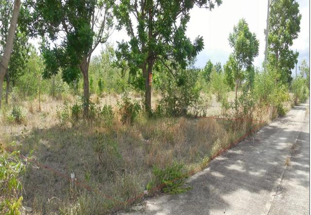 āđāļāđ ð āļāļĩāđāļāļīāļāđāļāļĨāđāļē āđāļāļĢāļāļāļēāļĢāļāļĢāļ°āļāļĩāļāđāļĨāļāļāđ āļāļāļāđāļāđāļ ð āļĢāļđāļāļāļĩāđ 3