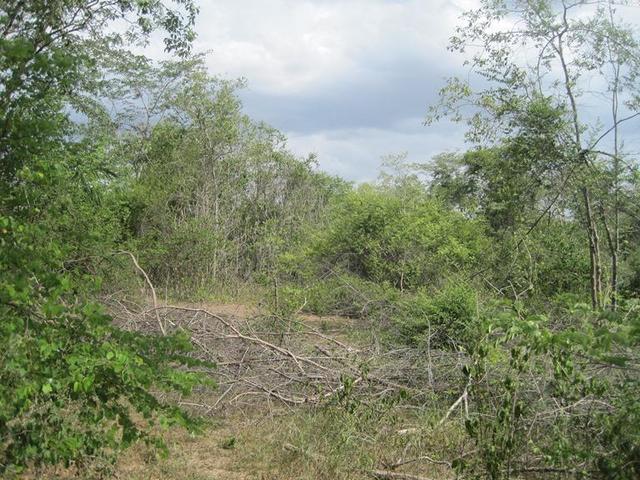 ใช่ 💟 ที่ดินเปล่า โครงการล้านนาคันทรี่ปาร์ค ลำปาง 💟 รูปที่ 3