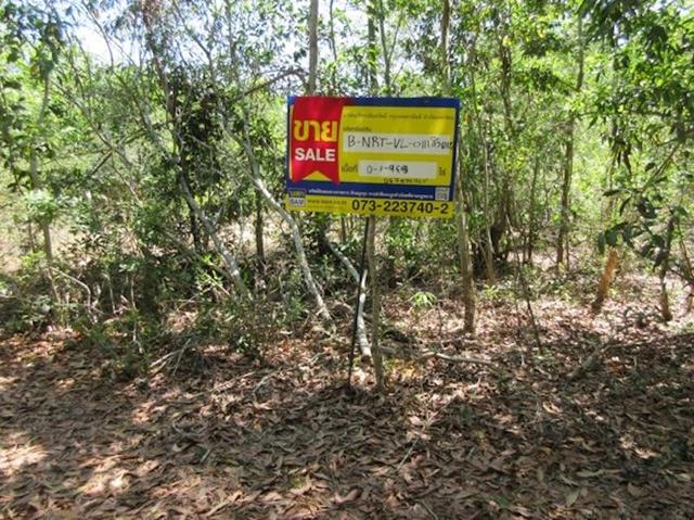 ใช่ 💟 ที่ดินเปล่า นราธิวาส 💟