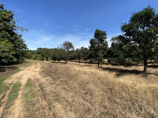 ใช่ 💟 ที่ดินเปล่า ตราด 💟 รูปที่ 3