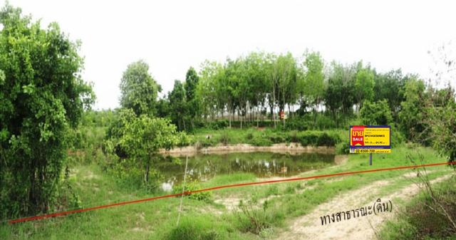 💟 ที่ดินเกษตรกรรม เมืองประจวบคีรีขันธ์ 💟