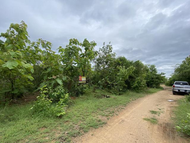 ใช่ 💟 ที่ดินเปล่า โครงการสวนเกษตรทรัพย์สักทอง ลำพูน 💟 รูปที่ 3