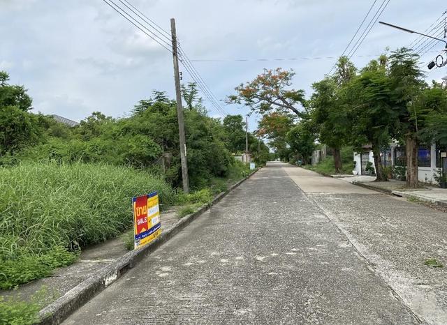 💟 ที่ดินเปล่า หมู่บ้านเอกไพริน(บ้านเจ้าคุณ) 💟 รูปที่ 4