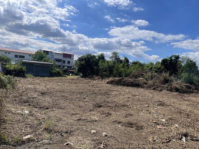 ใช่ 💟 ที่ดินเปล่า พิจิตร 💟 รูปที่ 4