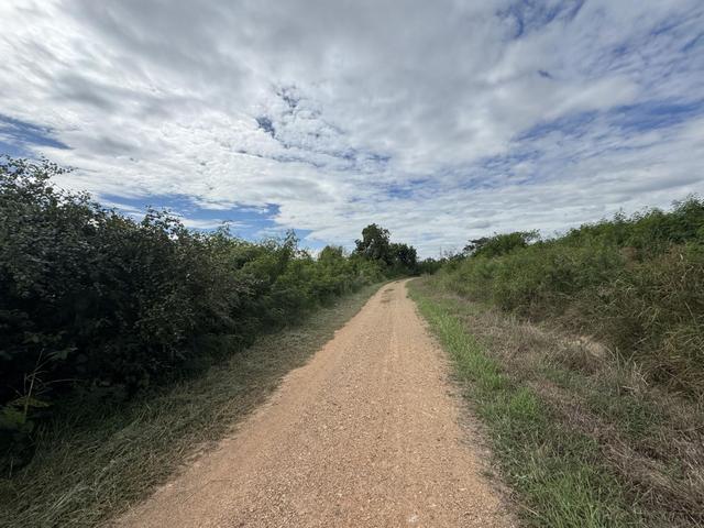 ใช่ 💟 ที่ดินเปล่า สระบุรี 💟 รูปที่ 4