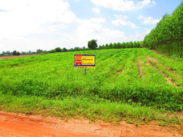 💟 ที่ดินเปล่า นาดี ปราจีนบุรี 💟