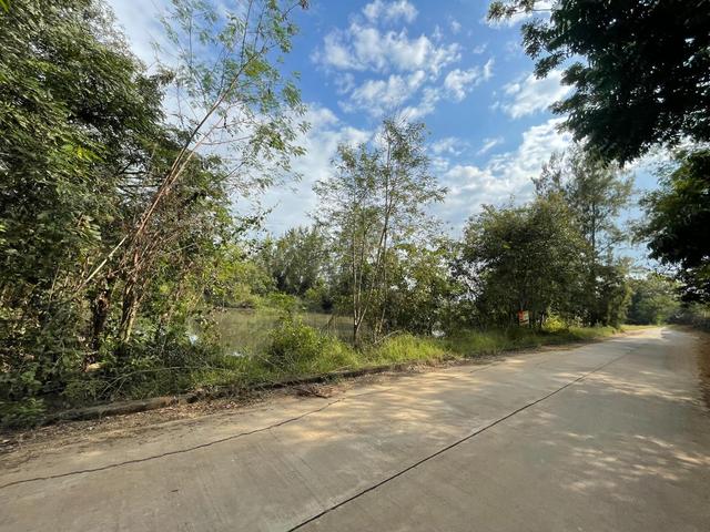 ใช่ 💟 ที่ดินเปล่า โครงการบ้านไร่ริมธาร ลำพูน 💟 รูปที่ 3