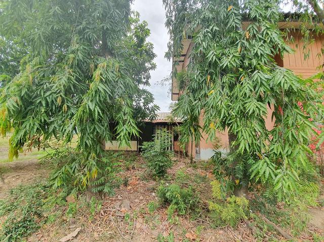 ใช่ 💟 บ้านเดี่ยว ชัยนาท 💟 รูปที่ 4