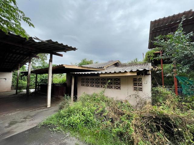 ใช่ 💟 บ้านเดี่ยว ดอนทราย ราชบุรี 💟 รูปที่ 2