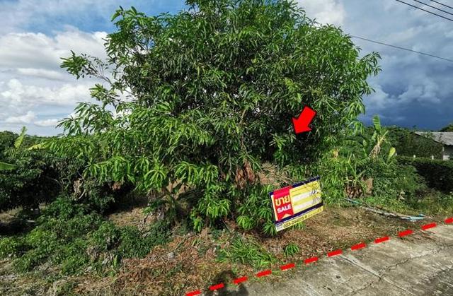 ใช่ 💟 ที่ดินเปล่า เชียงใหม่ 💟