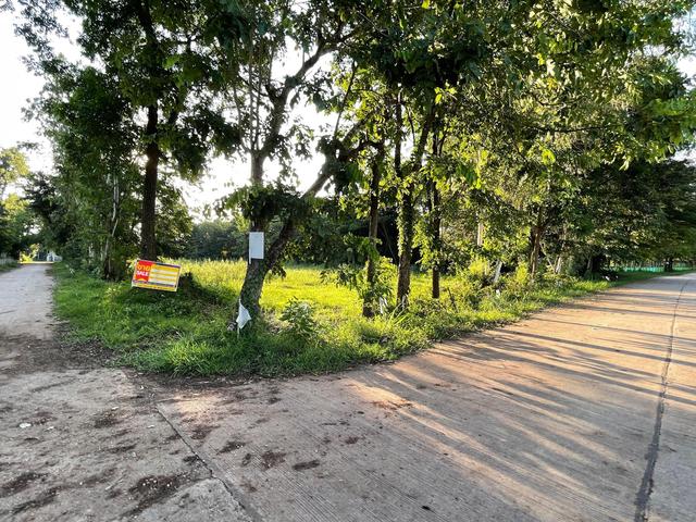 💟 ที่ดินเปล่า หนองบัวลำภู 💟