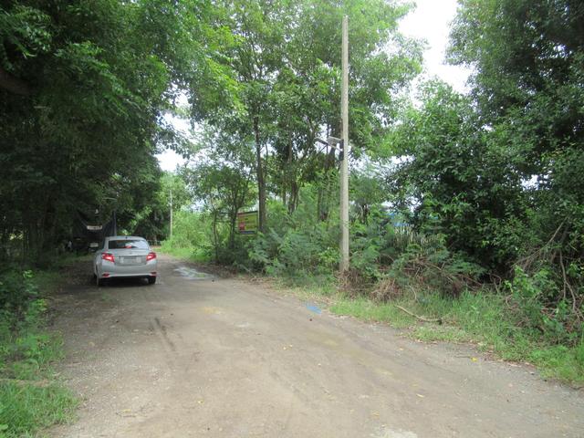 💟 ที่ดินเปล่า โครงการสวนเกษตรราชพฤกษ์ บางเลน 💟 รูปที่ 4