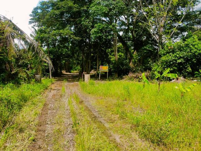 💟 บ้านเดี่ยว แกลง 💟