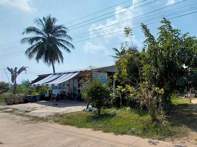 ใช่ 💟 บ้านเดี่ยว ชุมชนบ้านสงยาง กาฬสินธุ์ 💟 รูปที่ 2