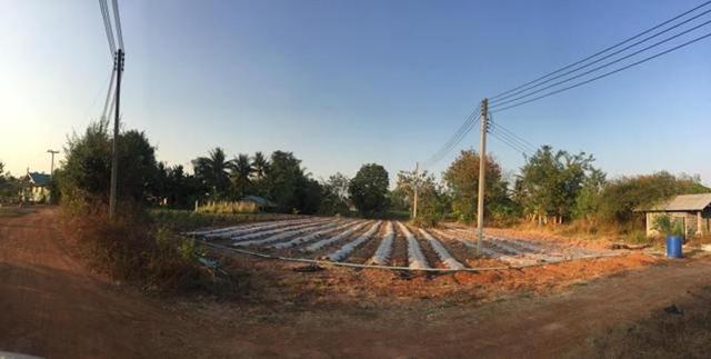 ใช่ 💟 ที่ดินเปล่า บุรีรัมย์ 💟 รูปที่ 4