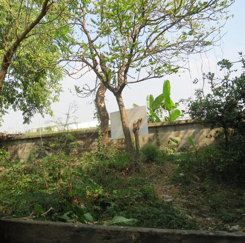 ใช่ 💟 ที่ดินเปล่า โครงการแลนด์วิลล่า บางบัวทอง 💟 รูปที่ 4