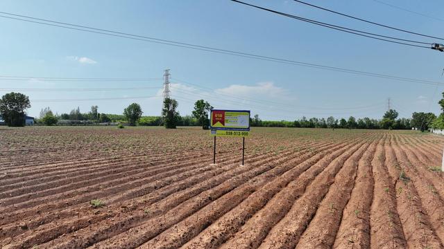 ใช่ 💟 ที่ดินเปล่า ฉะเชิงเทรา 💟