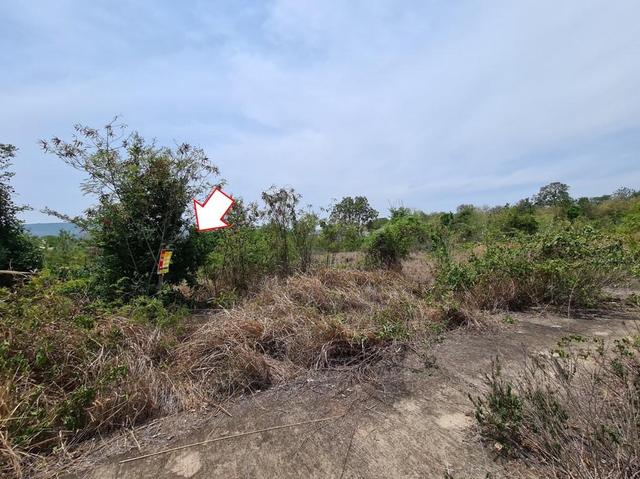 ใช่ 💟 ที่ดินเปล่า โครงการประทีปแลนด์ ขอนแก่น 💟 รูปที่ 4