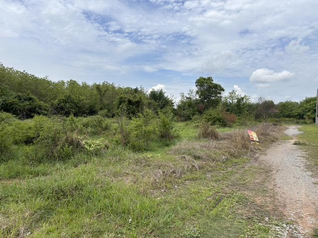 ใช่ 💟 ที่ดินเปล่า โครงการสวนขวัญจามเทวี ลำพูน 💟 รูปที่ 4