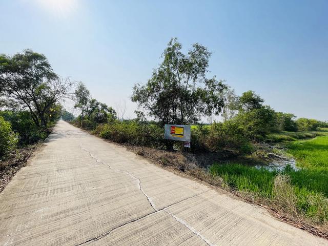 ใช่ 💟 ที่ดินเปล่า ถนนเลียบถนนหมอน 40 วังน้อย 💟 รูปที่ 4