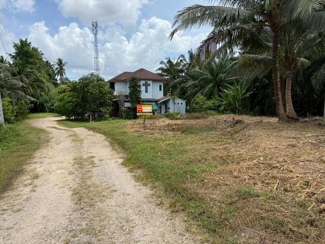 ใช่ 💟 ที่ดินเปล่า กระบี่ 💟