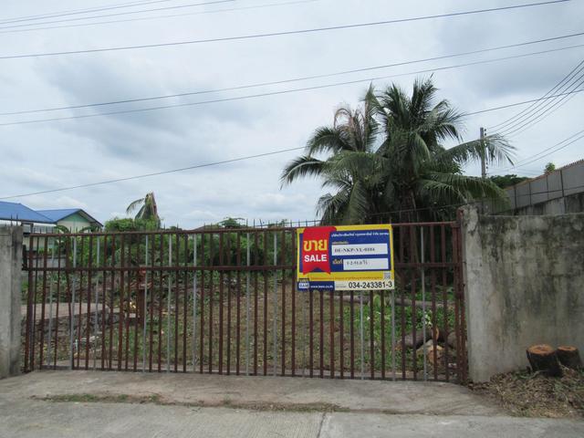 ใช่ 💟 ที่ดินเปล่า นครปฐม 💟 รูปที่ 3